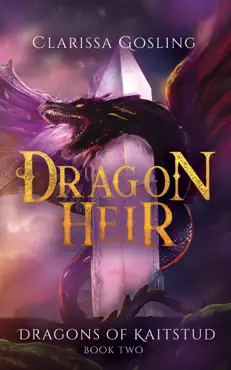 dragon heir book cover image