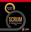 SCRUM synopsis, comments