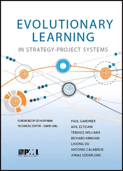 evolutionary learning in strategy-project systems book cover image