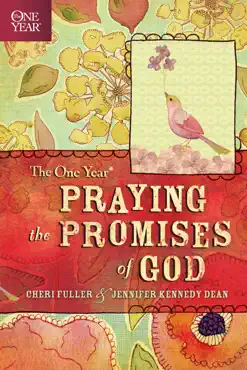 the one year praying the promises of god book cover image