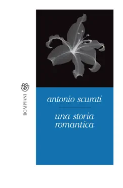 una storia romantica book cover image