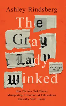 the gray lady winked book cover image