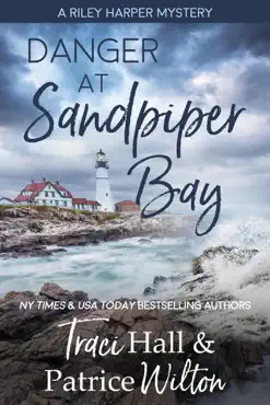 danger at sandpiper bay book cover image