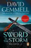 Sword In The Storm sinopsis y comentarios