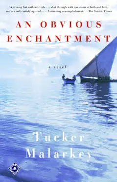 an obvious enchantment book cover image