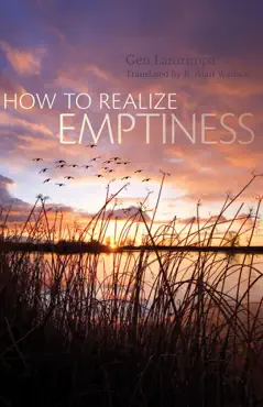 how to realize emptiness book cover image