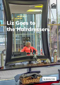 liz goes to the hairdressers book cover image