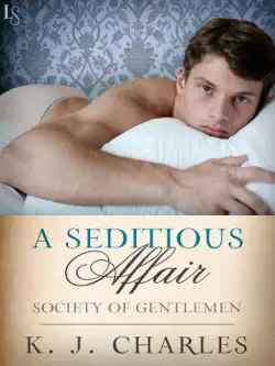 a seditious affair book cover image