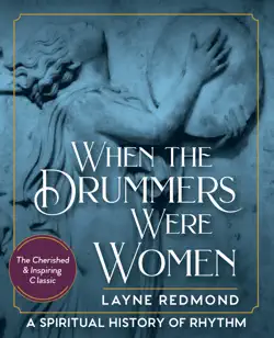 when the drummers were women book cover image