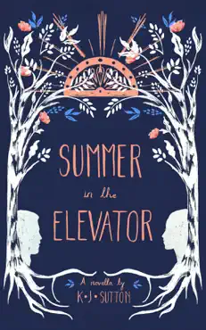 summer in the elevator book cover image