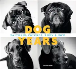 dog years book cover image
