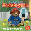 Hatching Chicks synopsis, comments