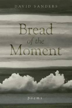 bread of the moment book cover image