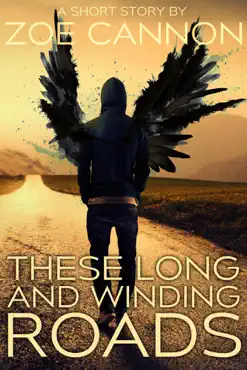 these long and winding roads book cover image