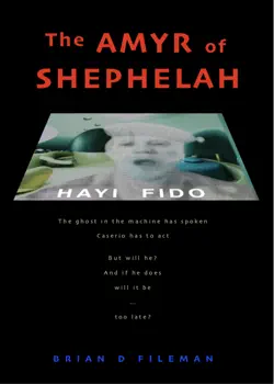 the amyr of shephelah book cover image