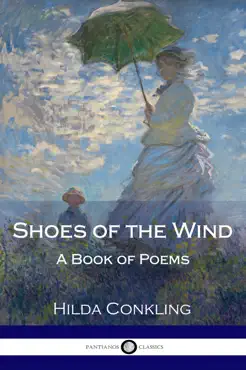 shoes of the wind book cover image