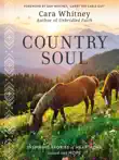 Country Soul synopsis, comments