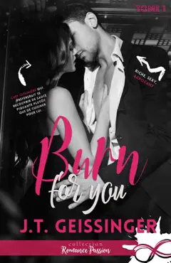 burn for you book cover image