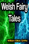 Welsh Fairy Tales synopsis, comments