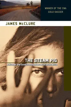 the steam pig book cover image