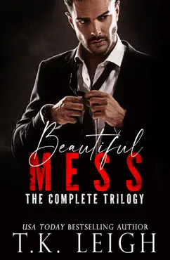 the beautiful mess series book cover image