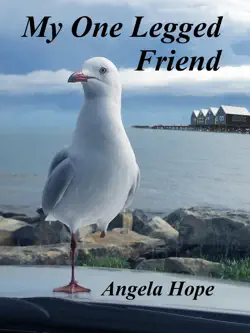 my one legged friend imagen de la portada del libro