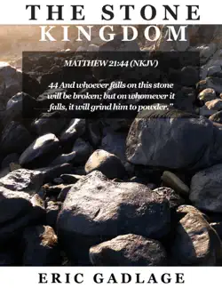 the stone kingdom book cover image
