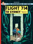 Flight 714 sinopsis y comentarios