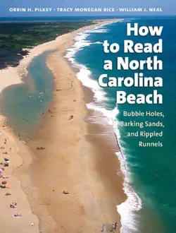 how to read a north carolina beach book cover image