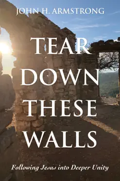 tear down these walls book cover image