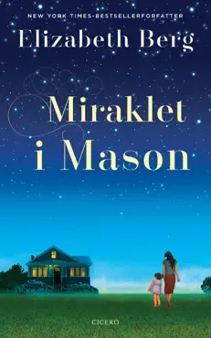miraklet i mason book cover image