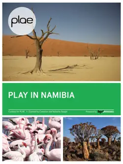 play in namibia book cover image