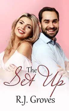 the set up book cover image