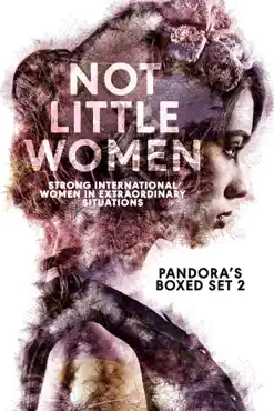 not little women book cover image