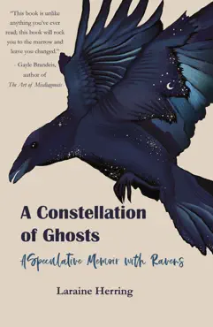 a constellation of ghosts book cover image