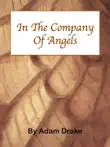 In The Company of Angels synopsis, comments