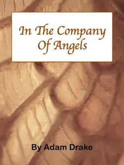 in the company of angels book cover image