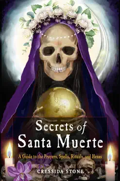 secrets of santa muerte book cover image