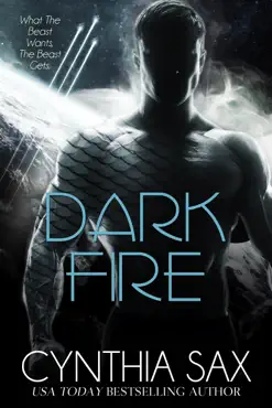 dark fire book cover image
