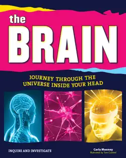 the brain book cover image