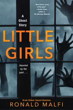 little girls book cover image