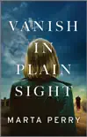 Vanish in Plain Sight synopsis, comments