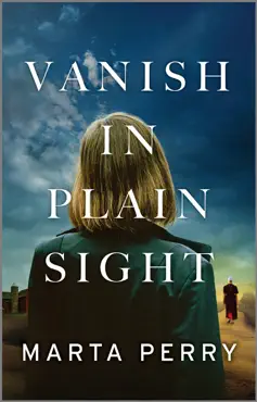 vanish in plain sight book cover image