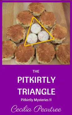 the pitkirtly triangle book cover image