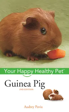 the guinea pig book cover image