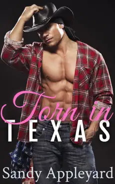 torn in texas book cover image