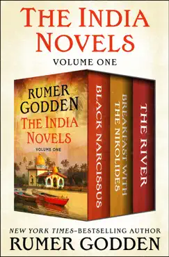 the india novels volume one book cover image
