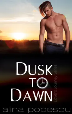 dusk to dawn book cover image