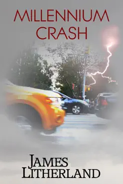 millennium crash book cover image