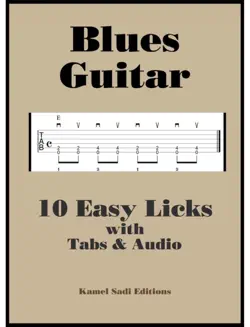 blues guitar book cover image